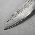 Hayabusa Series Gyuto Chef Knife