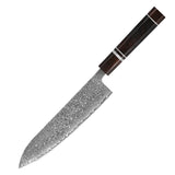 Masahira Ryusei Knife Set — VG10 67-Layer Damascus