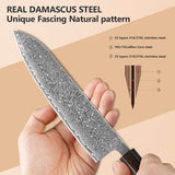 Masahira Ryusei Knife Set — VG10 67-Layer Damascus