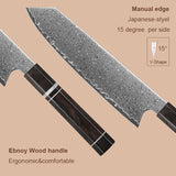 Masahira Ryusei Knife Set — VG10 67-Layer Damascus