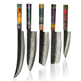 Masahira Takumi Knife Set — Hand-Forged 67-Layer Damascus