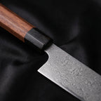 Take Series Kiritsuke Chef-Slicer Knife — Macro.jpg