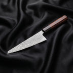 Take Series Honesuki Boning Knife — Hero.jpg