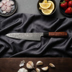 Take Series Gyuto Chef Knife