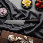 Ryusei Series Kiritsuke Chef-Slicer Knife
