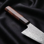 Take Series Honesuki Boning Knife