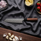 Take Series Kiritsuke Chef-Slicer Knife