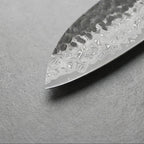 Mori Series Gyuto Chef Knife