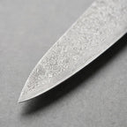 Raiden Gyuto Chef Knife, Blue Handle