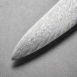Masahira Blue Resin Damascus Chef Knife